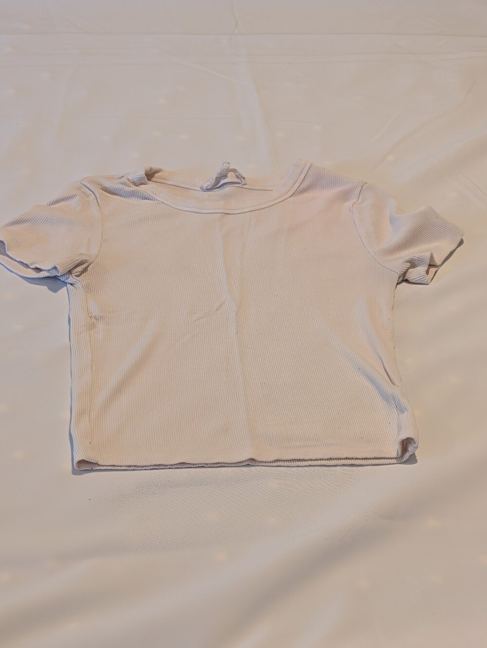 XS Womens Sage + Stone Ribbed Short Sleeve Crop Top